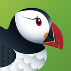 Puffin thumbnail